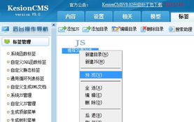 系統js管理 kesion 領先在線教育系統 知識付費系統 免費在線網校系統平臺 在線課堂系統 在線商城系統 在線考試系統及建站cms提供服務商 我們專注在線教育產品研發